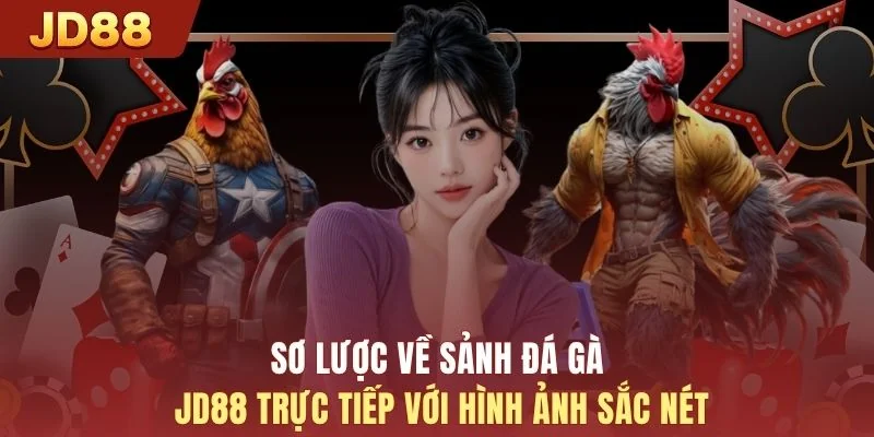 Sơ lược về sảnh đá gà JD88 trực tiếp với hình ảnh sắc nét